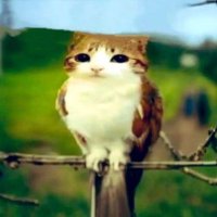 gerwin (@thegerwin009) 's Twitter Profile Photo