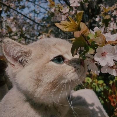 Twistedlexx's profile picture. 