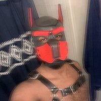 Jaysin the Pup 🐶😈❤️ (@jackoffking22) 's Twitter Profile Photo Jaysin the Pup 🐶😈❤️ (@jackoffking22) 's Twitter Profile Photo
