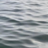 runa (@r_n__1129) 's Twitter Profile