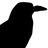 BloomingtonCrow's profile image