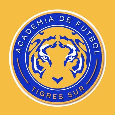 🐯 Academia Tigres Sur ⚽ Formando a los futuros campeones. Entrenamientos, valores y pasión por el fútbol. ¡Únete y juega con garra!