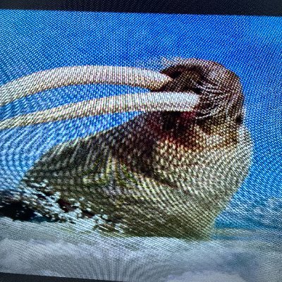 dugger48375's profile picture. Old  Man