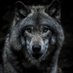 JFSebastian (@jfsebastian2249) Twitter profile photo JFSebastian (@jfsebastian2249) Twitter profile photo