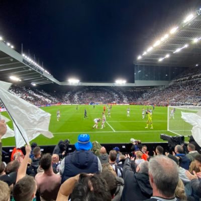 templeynufc's profile picture. 