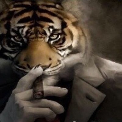 micheisaki's profile picture. ayo what duh dog doin