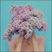 Nilerash (@nilerashlwqt) Twitter profile photo Nilerash (@nilerashlwqt) Twitter profile photo