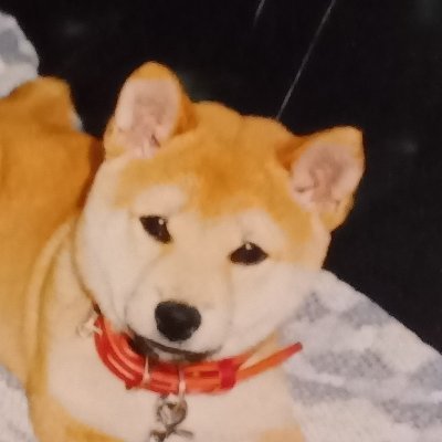@hirockingbeat
