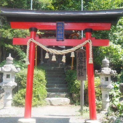 AmandaJ_Ankers's profile picture. Mum, wife, daughter, sister, friend, teacher....In that order.