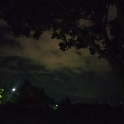 Sahlo_Folina02's profile picture. 