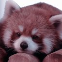 elena celis - @lostboy_moon - Twitter