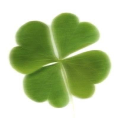 _puppykiller_'s profile picture. 