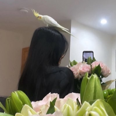 imsaraim's profile picture. || I’m an introvert don’t bother