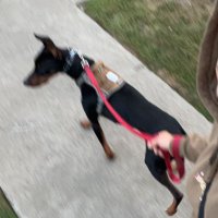 blane ? (@oatmilk0) 's Twitter Profile Photo