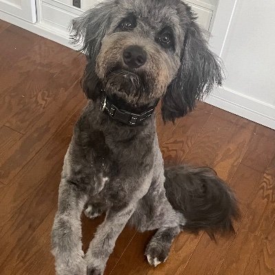 ajbids12316449's profile picture. 