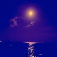 Jaden Moulay (@moula19533) 's Twitter Profile