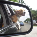 Olivia Render - @oliviaandewoks - Twitter