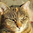 Anne - @anne_hood - Twitter