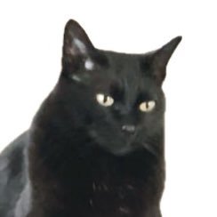 ___luap's profile picture. Be Water