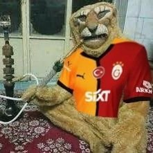 Gs190520002's profile picture. anti gese/ yağlı yanak fanı/koyu okanist/yaşasın Cenk Ergün baba