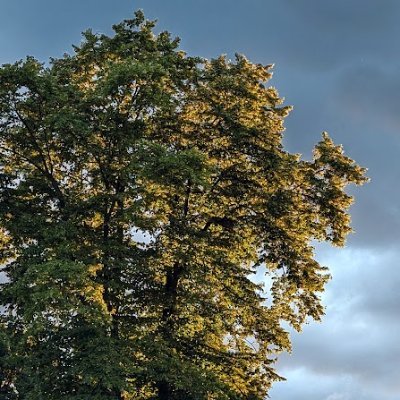 JenniRy240's profile picture. Thirty-something Londoner.