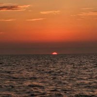 Ducks06 (@cutlass35072) 's Twitter Profile Photo Ducks06 (@cutlass35072) 's Twitter Profile Photo
