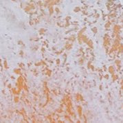 unf166's profile picture. 調教を細々とやっております。 新旧混在しています。 個別の質問やリクエストはお受けできかねます

フォロワー増やしません