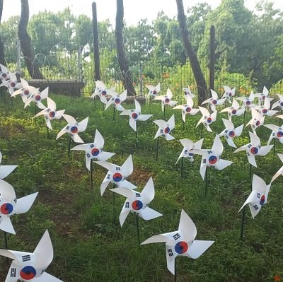 진정한 자유와 민주가 이땅에 천년만년 넘쳐나기를~~. 대한민국은 지금 칠흑같은 오밤중. 정의는 언제 화사한 꽃을 이 땅에 피울까?