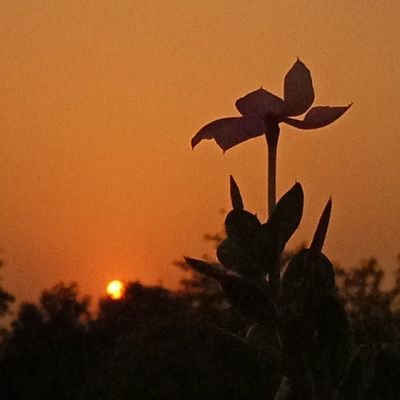 um64157021's profile picture. Always live in your own peace🥰

🙏☺️