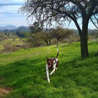Ale Vries 🌺 (@la_tuto) 's Twitter Profile Photo Ale Vries 🌺 (@la_tuto) 's Twitter Profile Photo