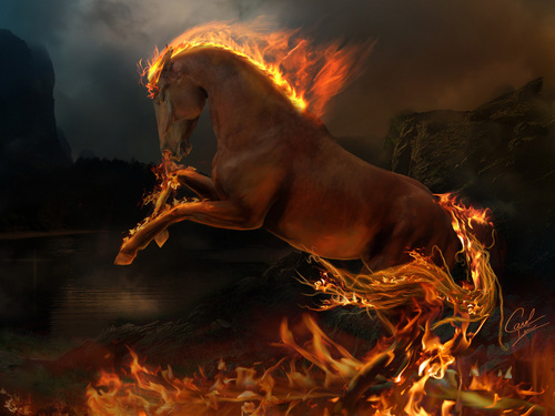 Vic_HVA's profile picture. 