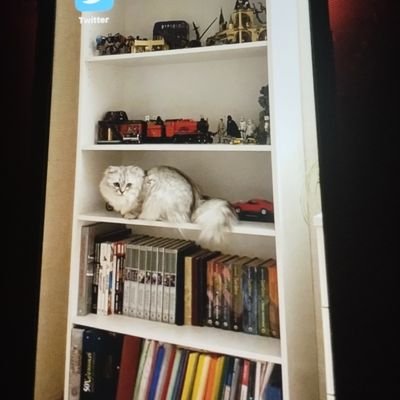 illuminer_lili's profile picture. Not everything I write happened to me in my life, sometimes I talk about the feelings of others …...🧠💛💙💚🤍🧚‍♀️🍓💎🧜🏻‍♀️🩰🎹🍫☕️📚