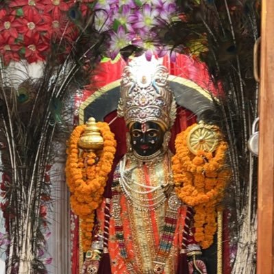 chaudhary_8413's profile picture. 