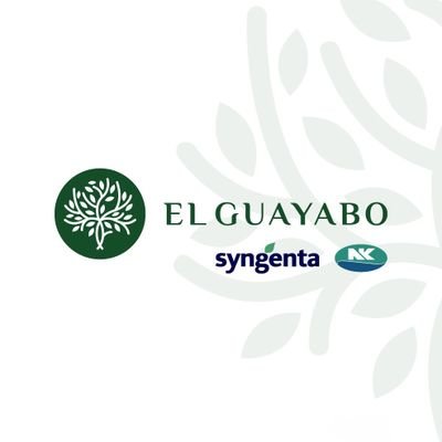ElGuayaboSrl's profile picture. Empresa Familiar. Amamos el campo y los desafíos. Distribuidores Syngenta y NK Semillas en Sta. Fe 🇦🇷  #25Años ~𝑺𝒐𝒎𝒐𝒔 𝒅𝒆𝒍 𝒄𝒂𝒎𝒑𝒐, 𝒄𝒐𝒎𝒐 𝒗𝒐𝒔~