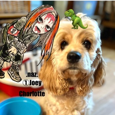 なーちゃん 2023 Nissan Sentra, SR | 3N1AB8DV6PY223486 | Bid History