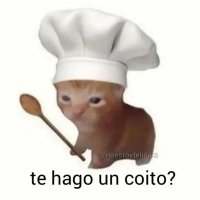 Aguacate2 (@jo4qu1n04042) 's Twitter Profile