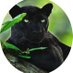 Terry Lee (@terrylee276610) Twitter profile photo Terry Lee (@terrylee276610) Twitter profile photo