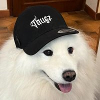 Thugz Life Actualités (@thugzlifeactu) 's Twitter Profile