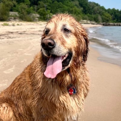 benzimmerman13's profile picture. 