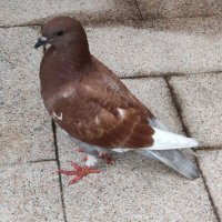 TAWTAW (@taw222244) 's Twitter Profile
