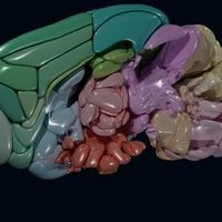 John Rohde (@e_cross_b) 's Twitter Profile