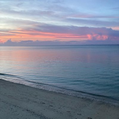 何者にもなれない私自身を救うために、日々読書をしています。優しいあなたが読書を通して、少しでも生きやすくなりますように。
