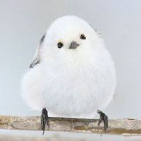 アル (@alt_trpg01) 's Twitter Profile