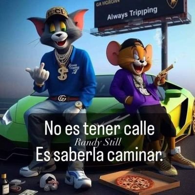 var13699's profile picture. 