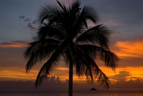 cubahotelonline's profile picture. Agencia de viajes, somos para tus vacaciones tu mejor opción, garantizándote un buen servicio personalizado, visítenos en http://t.co/TmXmY6wYnL