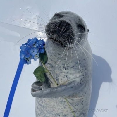 GibbyGibson1861's profile picture. She/It 19