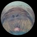 Alexandre Tessier - @Alwaysalwayste - Twitter