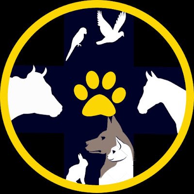 aminzamanipor's profile picture. 