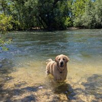Thomas_In_Boise (@thomas_account2) 's Twitter Profile
