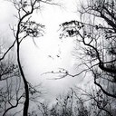 Helen Blades - @ladyofthehollow - Twitter